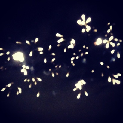 Fireworks, Battersea Park